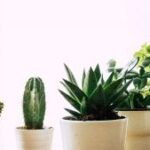 footer-background-300x169.jpg
